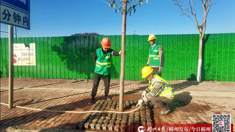 宠物草坪铺设材料，如何选择更合适？**