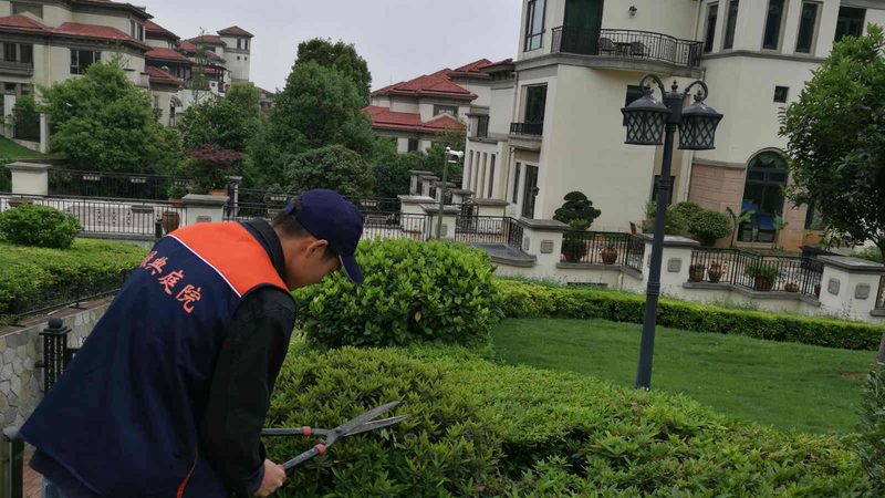 绿化资质乙级与甲级费用差异解析**
