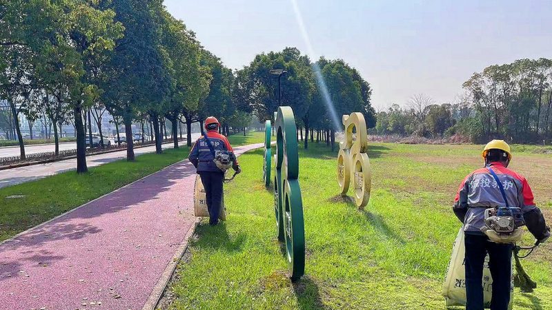草坪铺设石子垫层厚度：关键因素与施工要点
