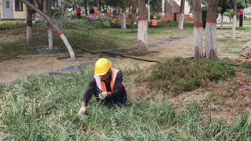 厂区景观设计：收费标准背后的考量因素