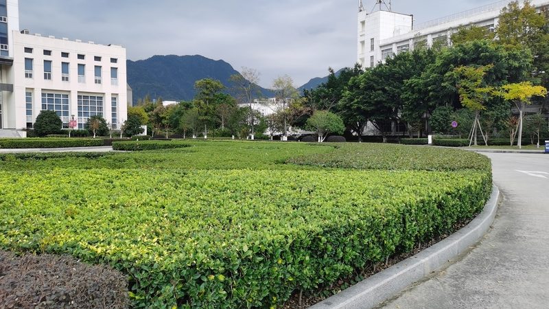 假山喷泉效果图大全